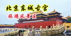 骚穴穴15p中国北京-东城古宫旅游风景区